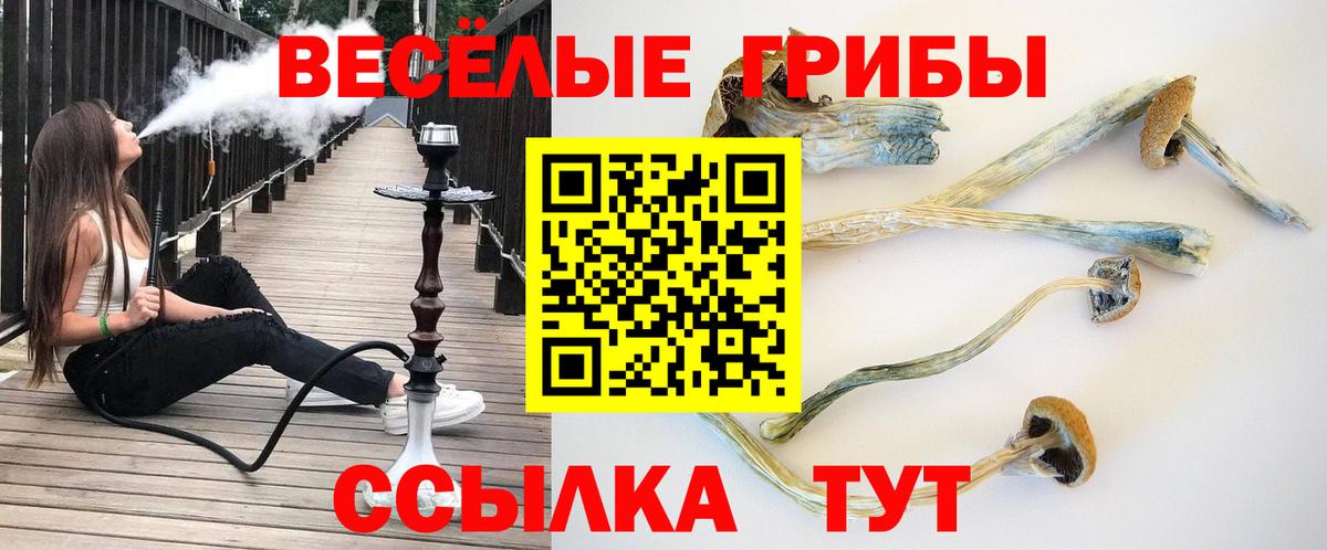 Галлюциногенные грибы ЛСД Елизово
