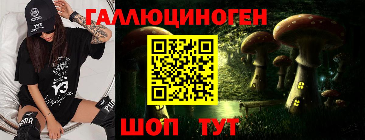 Псилоцибиновые грибы ЛСД  Вход с VPN  Елизово 