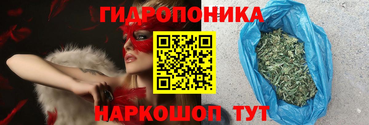 Канабис гибрид Елизово